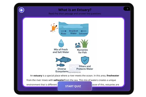 What is an Estuary? - reading educational content