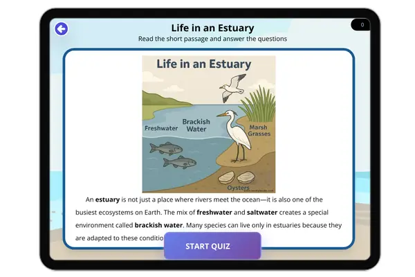 Life in an Estuary - reading educational content