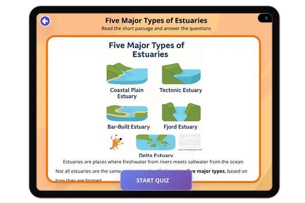 Five Major Types of Estuaries - reading educational content