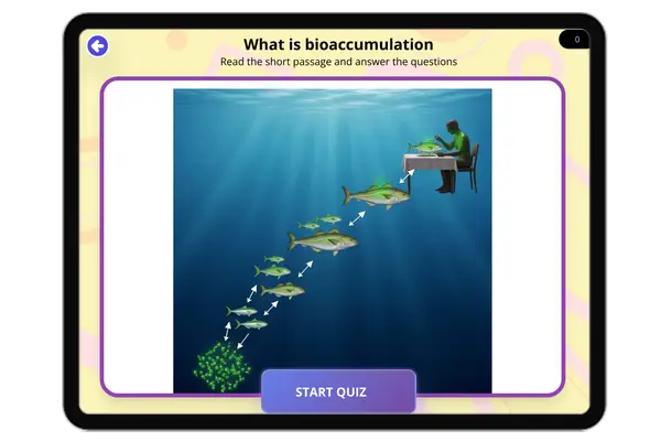 What is Bioaccumulation - reading educational content
