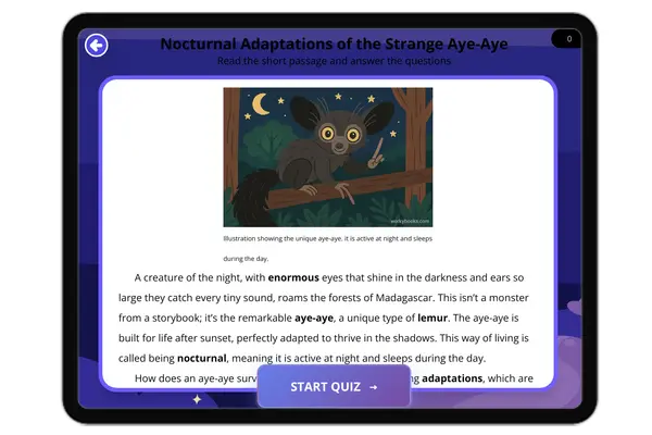 Nocturnal Adaptations of the Strange Aye-Aye - reading educational content
