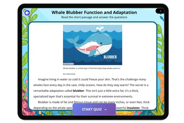 Whale Blubber: Function and Adaptation - reading educational content