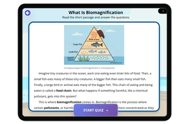 What Is Biomagnification - reading educational content