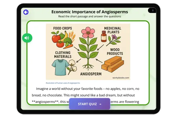 Economic Importance of Angiosperms - reading educational content