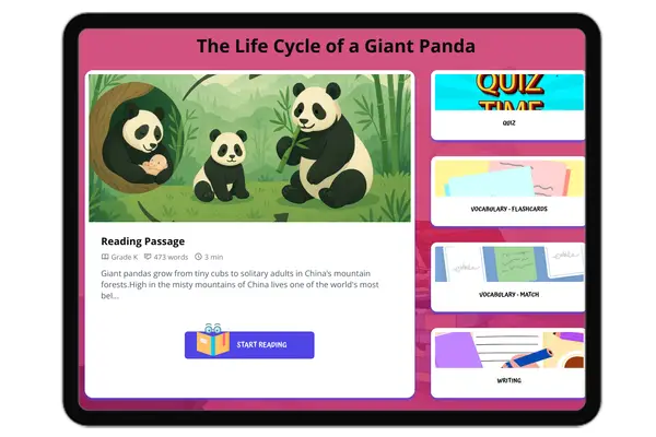 The Life Cycle of a Giant Panda - reading educational content
