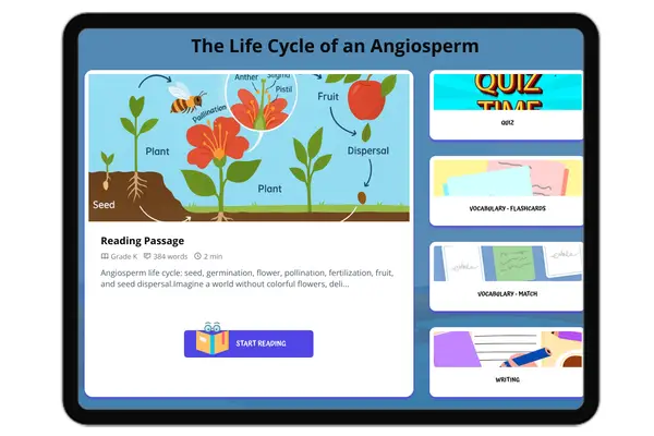 The Life Cycle of an Angiosperm - reading educational content