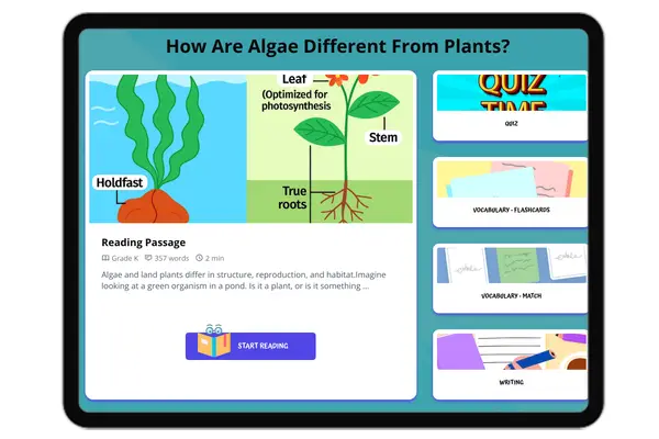 How Are Algae Different From Plants? - reading educational content