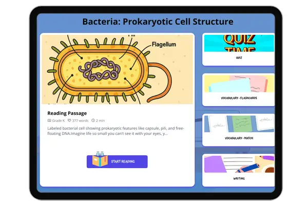 Bacteria: Prokaryotic Cell Structure - reading educational content