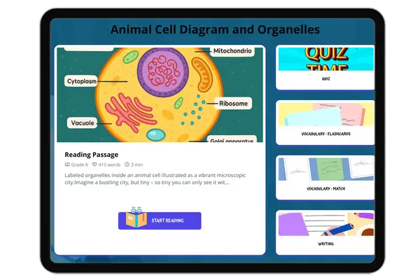 Animal Cell Diagram and Organelles - reading educational content