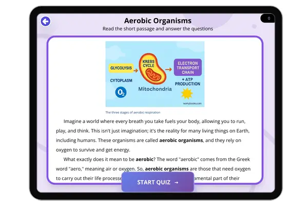 Aerobic Organisms - reading educational content