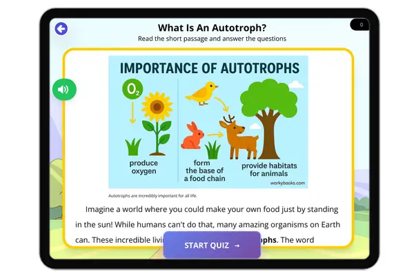 What Is An Autotroph? - reading educational content