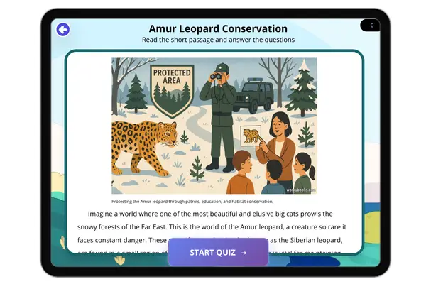 Amur Leopard Conservation - reading educational content