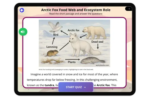 Arctic Fox Food Web and Ecosystem Role - reading educational content