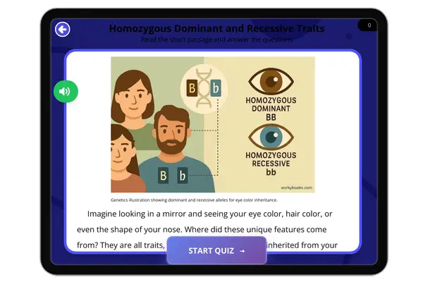 Homozygous Dominant and Recessive Traits - reading educational content