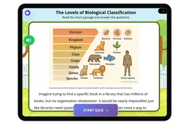 The Levels of Australopithecus - reading educational content