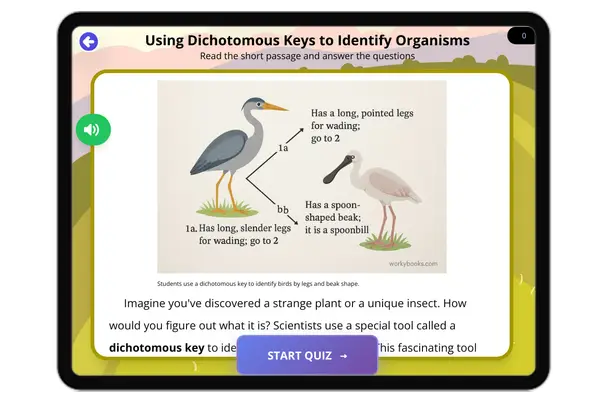 Using Dichotomous Keys to Identify Organisms - reading educational content