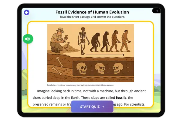 Fossil Evidence of Human Evolution - reading educational content