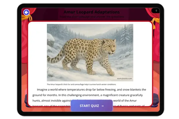 Amur Leopard Adaptations - reading educational content