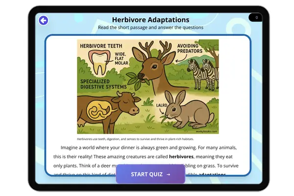 Herbivore Adaptations - reading educational content