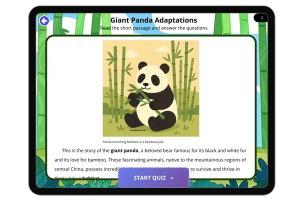 Giant Panda Adaptations - reading educational content
