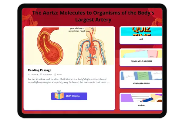 The Aorta: Molecules to Organisms of the Body's Largest Artery - reading educational content