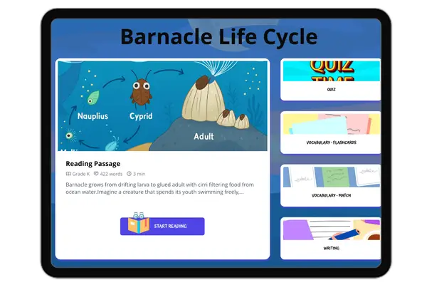 Barnacle Life Cycle - reading educational content