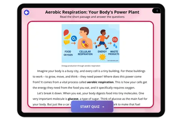 Aerobic Respiration - reading educational content