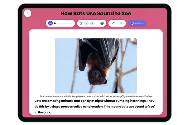 How Bats Use Sound to See - reading educational content