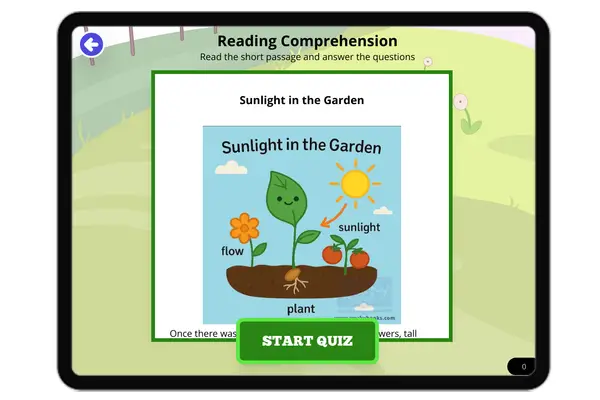 Sunlight in the Garden - reading educational content