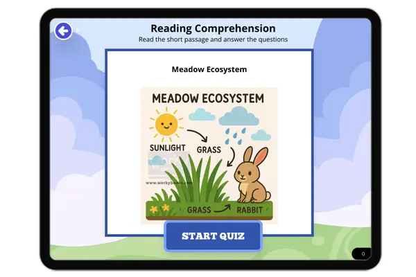 Meadow Ecosystem - reading educational content