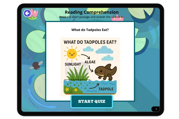 What do Tadpoles Eat? - reading educational content