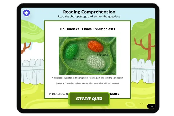 Do onion cells have chromoplasts - reading educational content