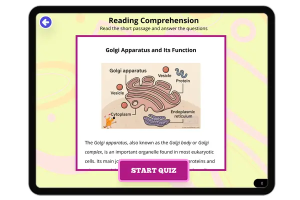 Golgi Apparatus and Its Function - reading educational content