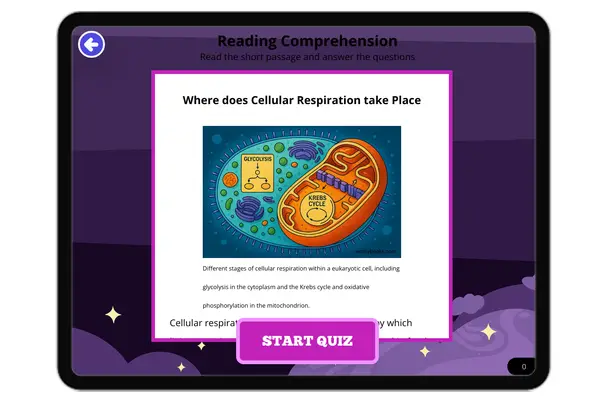 Where does Cellular Respiration take Place - reading educational content