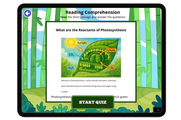 What are the Reactants of Photosynthesis - reading educational content