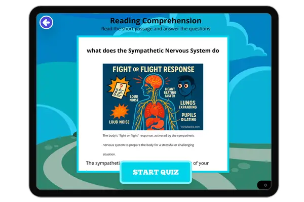 What does the Sympathetic Nervous System do - reading educational content
