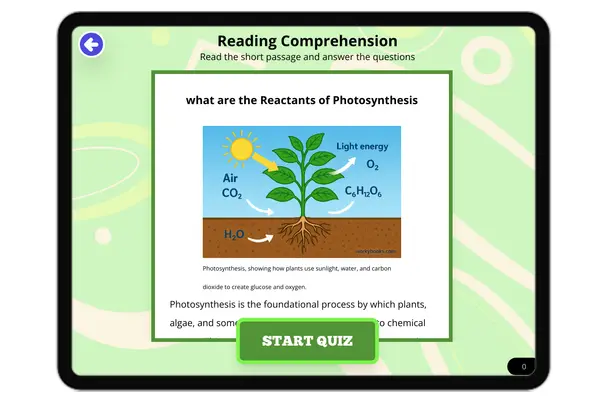 What are the Reactants of Photosynthesis - reading educational content