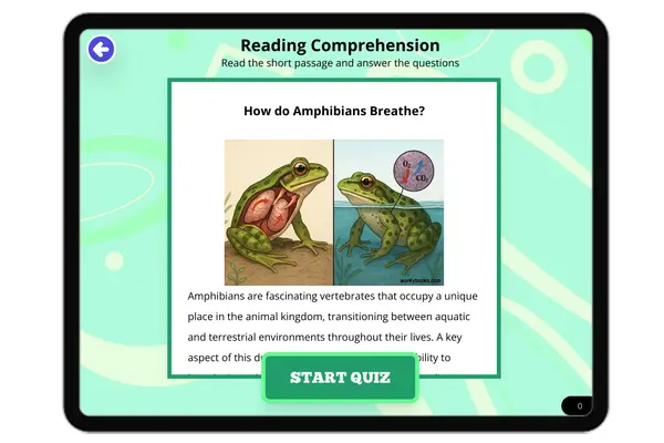 How do Amphibians Breathe? - reading educational content