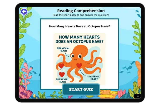 How Many Hearts Does an Octopus Have?  - reading educational content