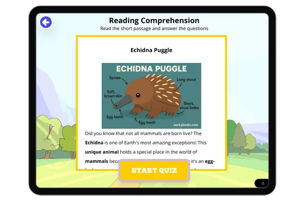 Echidna Puggle - reading educational content