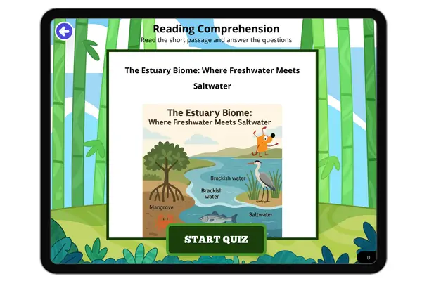 The Estuary Biome: Where Freshwater Meets Saltwater - reading educational content
