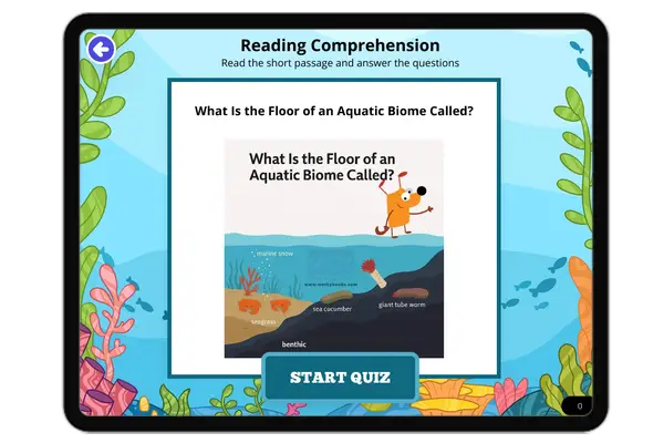 What Is the Floor of an Aquatic Biome Called? - reading educational content