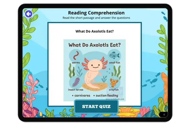 What Do Axolotls Eat? - reading educational content