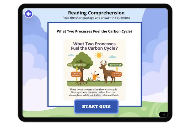 What Two Processes Fuel the Carbon Cycle? - reading educational content