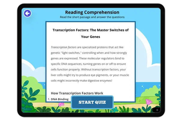 Transcription Factors: The Master Switches of Your Genes - reading educational content