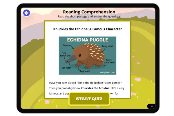 Knuckles the Echidna: A Famous Character - reading educational content