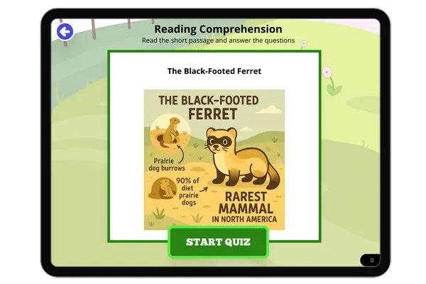 The Black-Footed Ferret - reading educational content