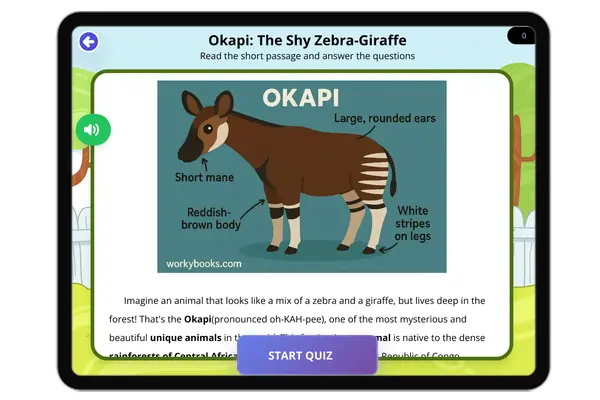 Okapi: The Shy Zebra-Giraffe - reading educational content