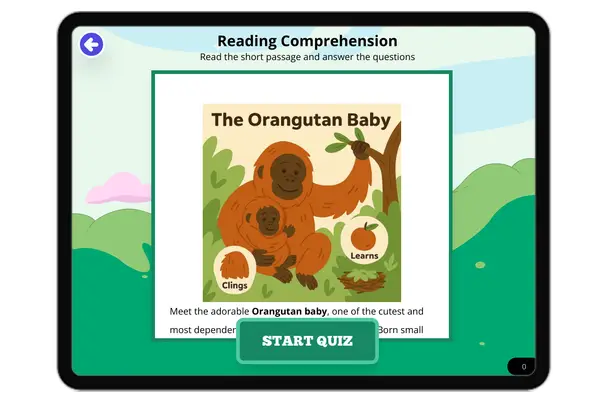 The Orangutan Baby - reading educational content