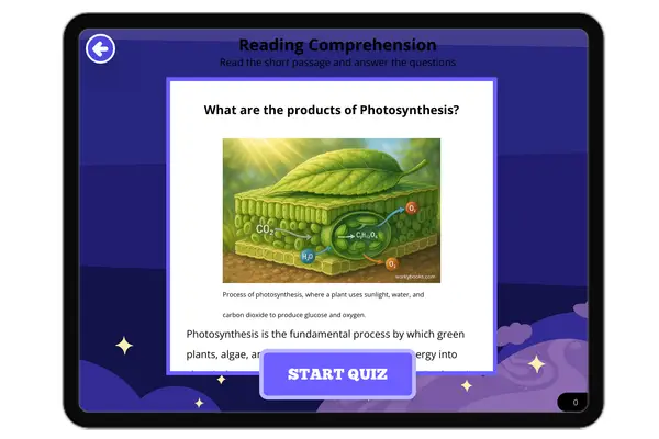 What are the products of Photosynthesis? - reading educational content